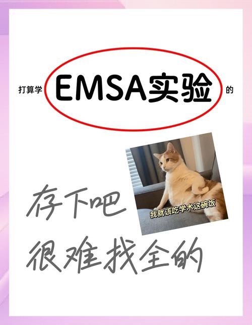 Rtems代码执行后为何出现如此诡异现象，背后原因究竟是什么？