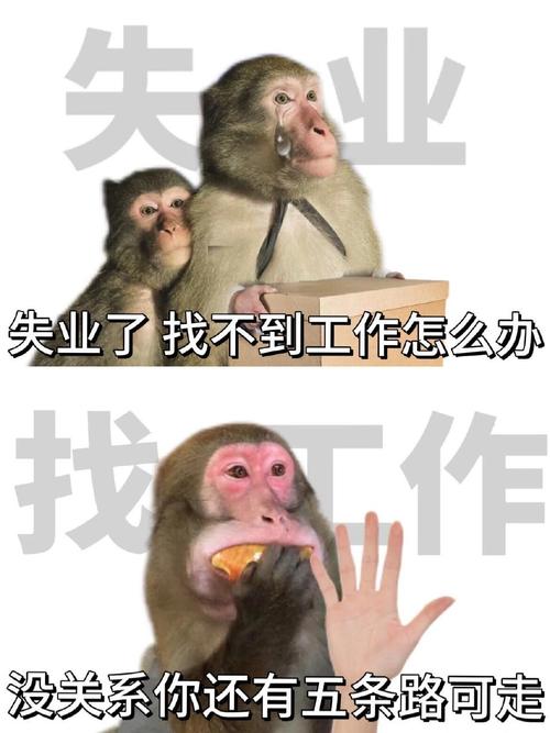 程序员找不到工作，真的应该先外包过渡两年吗？谨慎考虑啊！