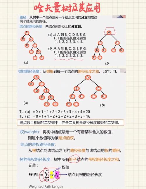 如何实现哈夫曼树在数据结构与算法中的应用？