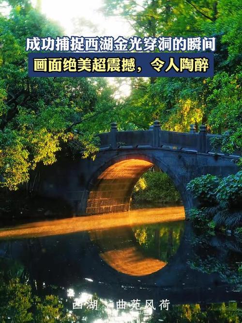 如何捕捉到令人陶醉的绝美瞬间照片？