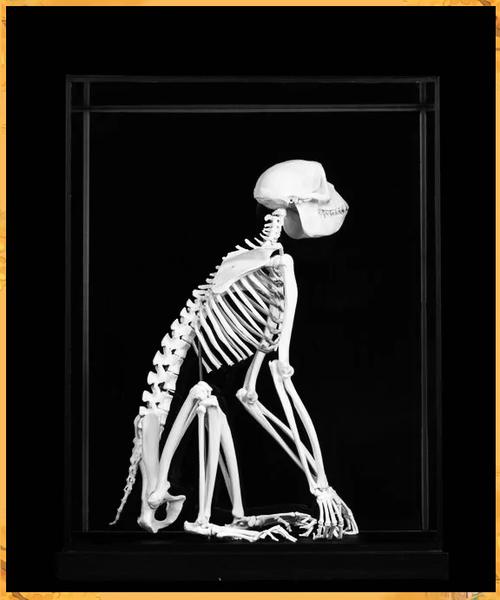 如何用原型模式设计魔兽怪物创建，实现Darren的怪物快速复制与定制？