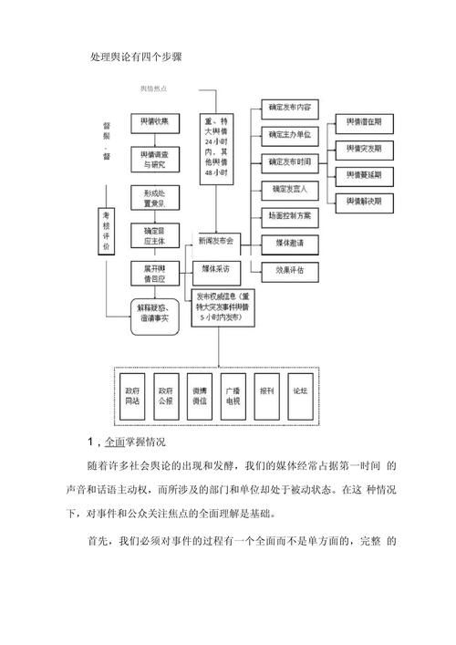 如何构建策略以优化网络舆情处理流程？