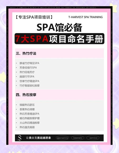 前端开发SPA项目涉及哪些独特的技术或框架？