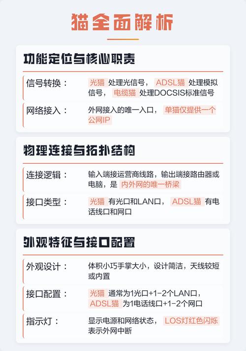 猫和路由器到底有什么本质区别，它们的功能和作用有何不同？