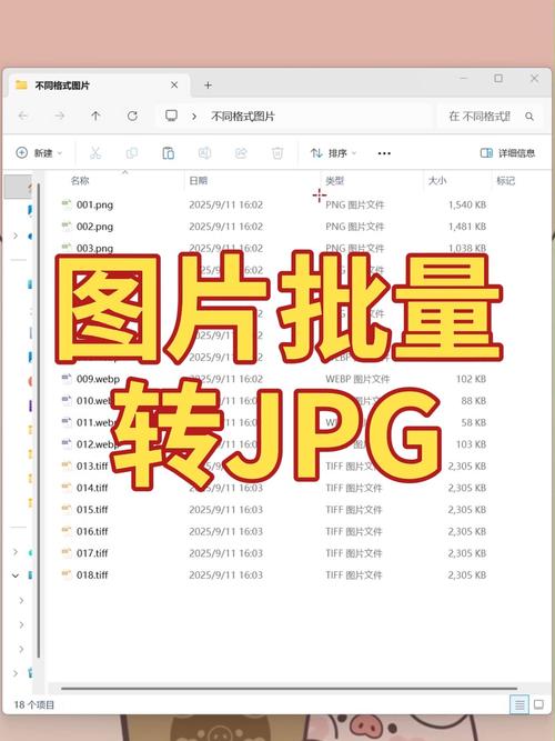 如何将不同格式的照片批量转换成JPG格式？