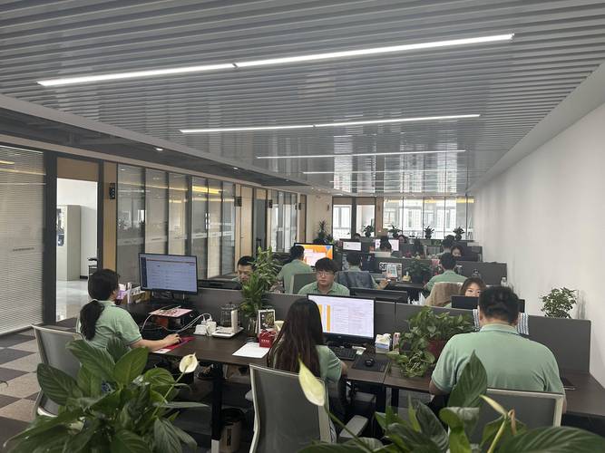 辉县SEO利器，东莞建站专家，哪家更专业？