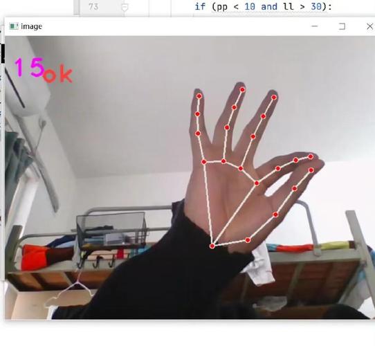 如何使用TensorFlow2.X与OpenCV构建高效手势识别系统？