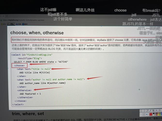 MyBatis中频繁出现的错误及其解决方法有哪些？