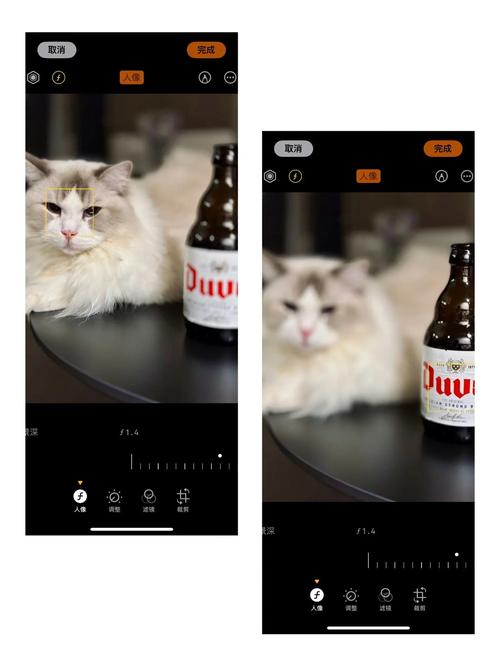 iOS 16中的人像模式和电影模式具体有哪些独特功能？