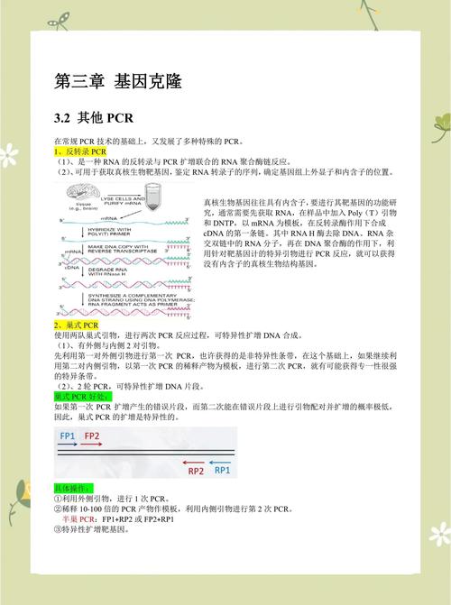 TiDB初探，有哪些深入细节和长尾知识点可以了解？