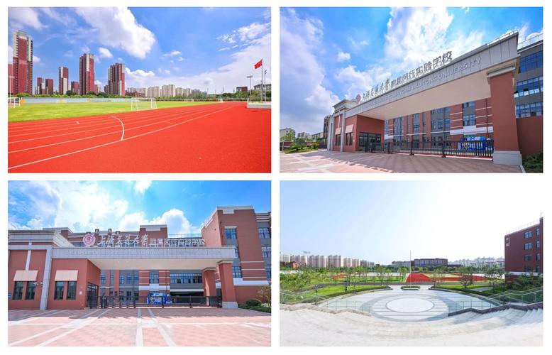 上海闵行有哪些专业学校在探索实践闵行网站建设之路？