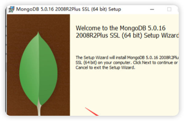 如何在Laravel中实现使用MongoDB的方法示例？