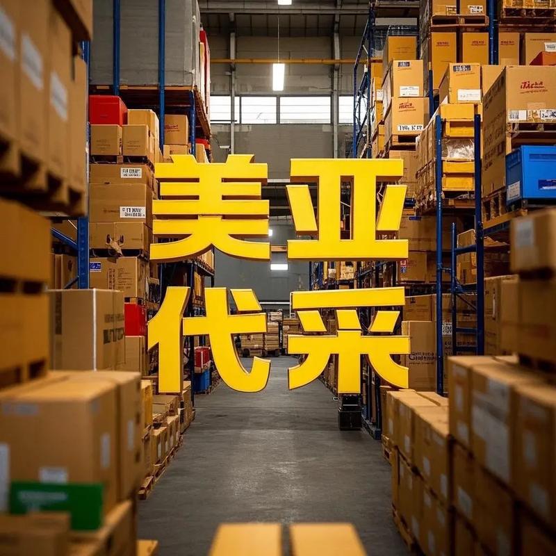 独立站代采究竟是什么操作？揭秘省时省钱的跨境电商新潮流？