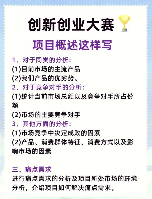 如何准确区分项目概述与公司简介在表述上的具体差异？