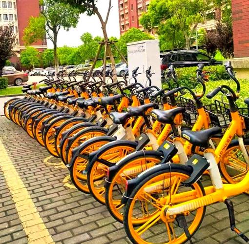共享单车在校园里是否越来越普及？