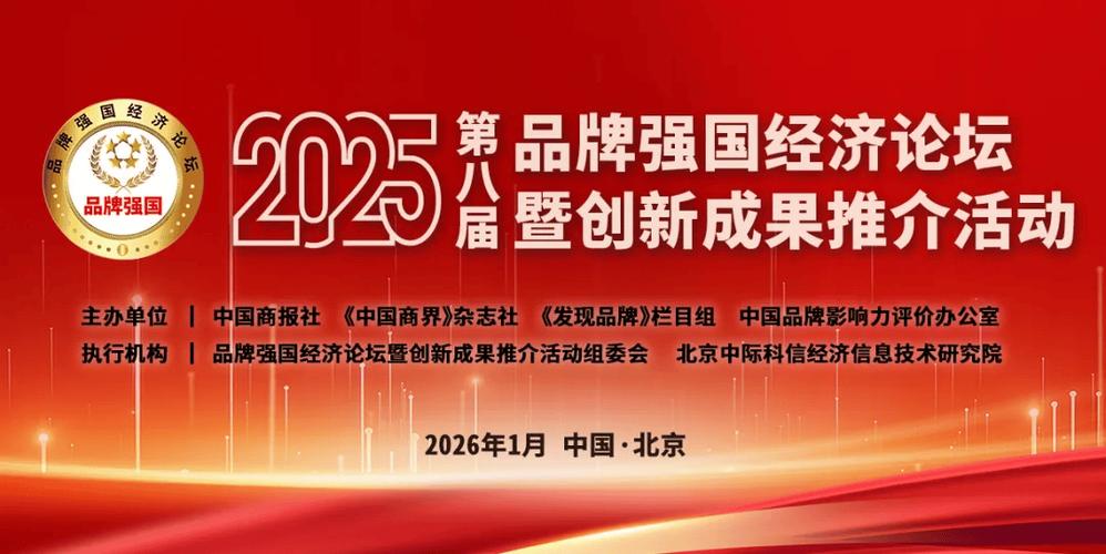 江苏省品牌学会会长见证下品牌建设网站崛起与发展之路是怎样的？