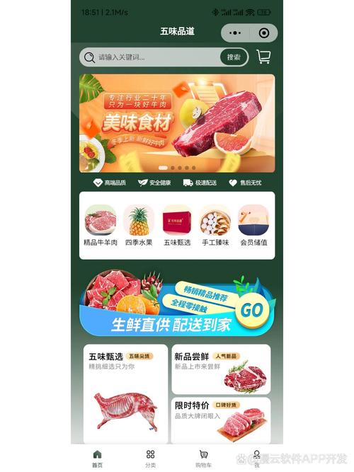 如何打造专业购物网站，实现全新在线零售体验的关键要素有哪些？