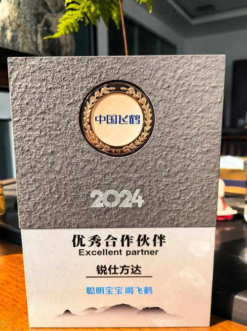 哪家SEO外包合作伙伴能打造卓越口碑，推荐卓立海创？