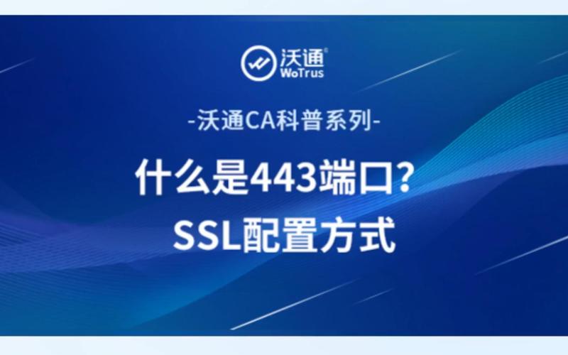 443端口具体是做什么用的？