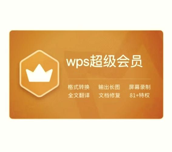 百度文库VIP会员独享福利有哪些，如何畅享海量文档资源与优质学习体验？