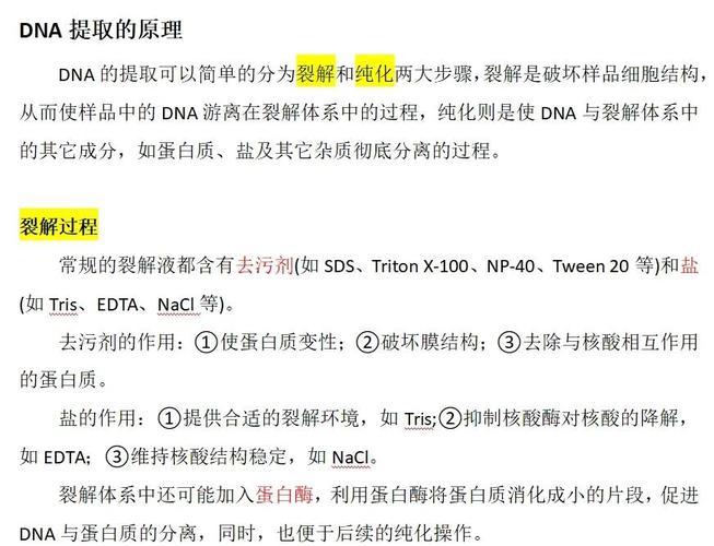 有哪些技术可以实现向细胞内高效导入DNA？