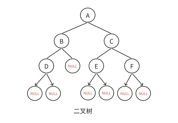 数据结构中，哪种平衡二叉搜索树被称为AVL树？