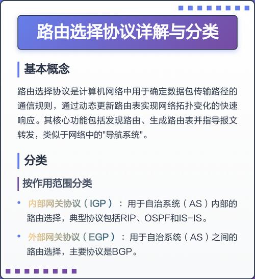 路由选择协议具体在哪一层实现？