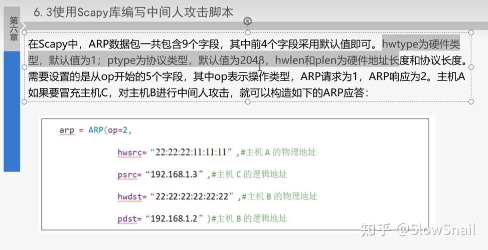 如何运用Scapy模块在Python中实现详尽的ARP网络扫描操作？