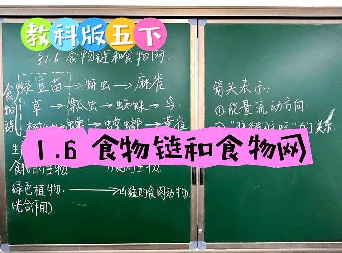 食品企业如何借助网络实现腾飞？