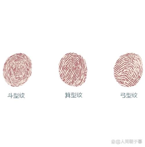 指纹和项目纹有哪些显著的不同之处？