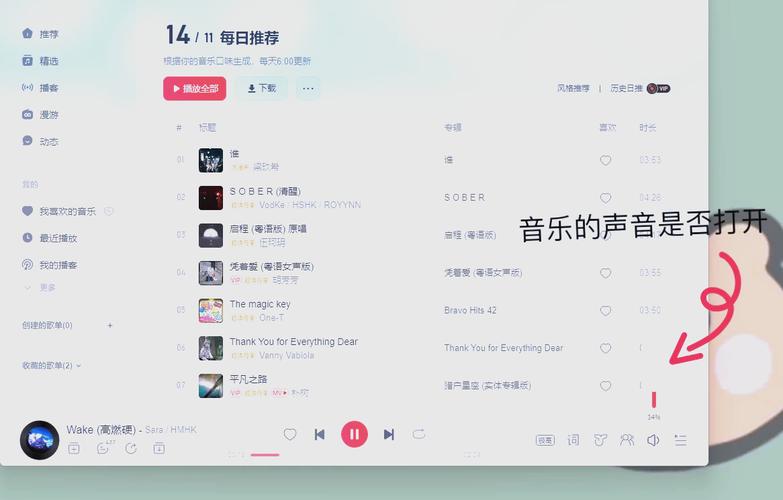 网页视频播放没声音怎么办？是系统设置还是浏览器问题？