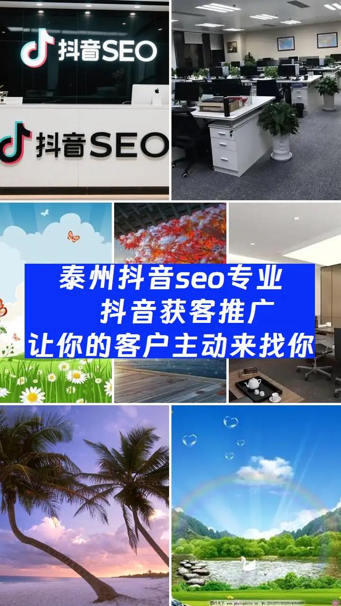 泰州SEO价格优，服务专业高效，哪家公司能提供这样的服务呢？