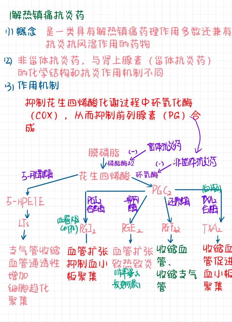 C++中如何全面掌握RTTI与四种类型转换的深层机制及其相互关系？