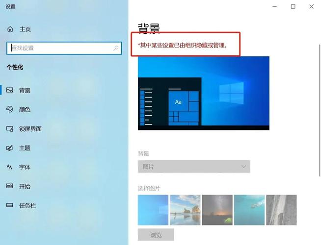 Windows 11中设置主题背景的具体位置在哪里？