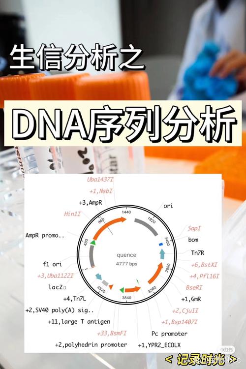 如何具体运用核酸二级数据库进行生物信息学分析研究？