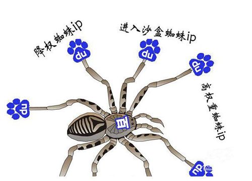 百度蜘蛛每天抓取万次其抓取频次遵循哪些多因素原则呢？