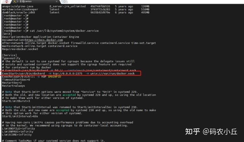 如何将Springboot服务Docker化并实现自动部署的完整流程？