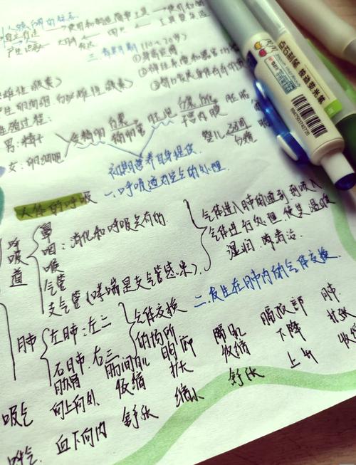 P2024食物链题解查集如何改写为长尾词？