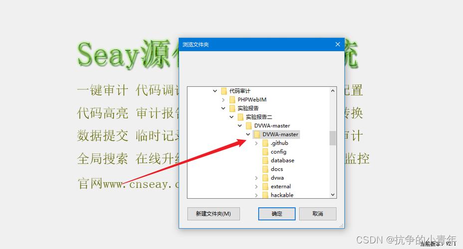 如何利用Seay工具进行高效的代码安全审计？