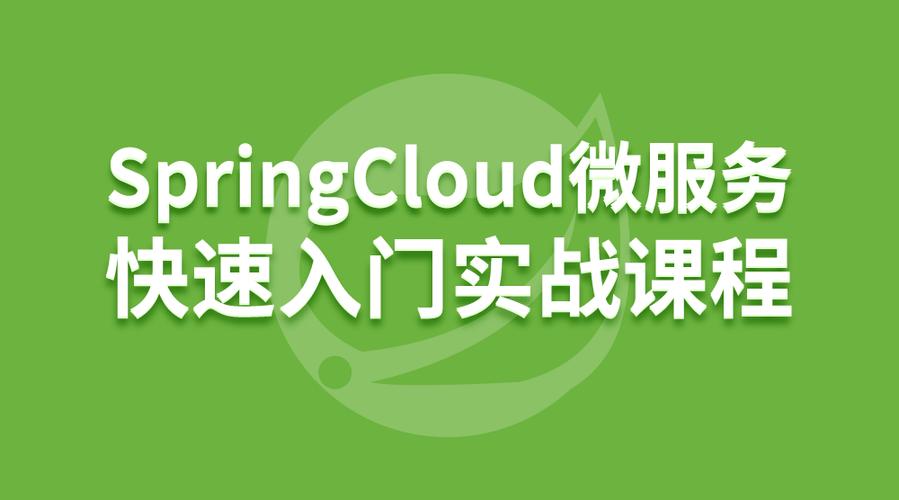 SpringCloud微服务治理技术入门课程（SCN）适合初学者吗？