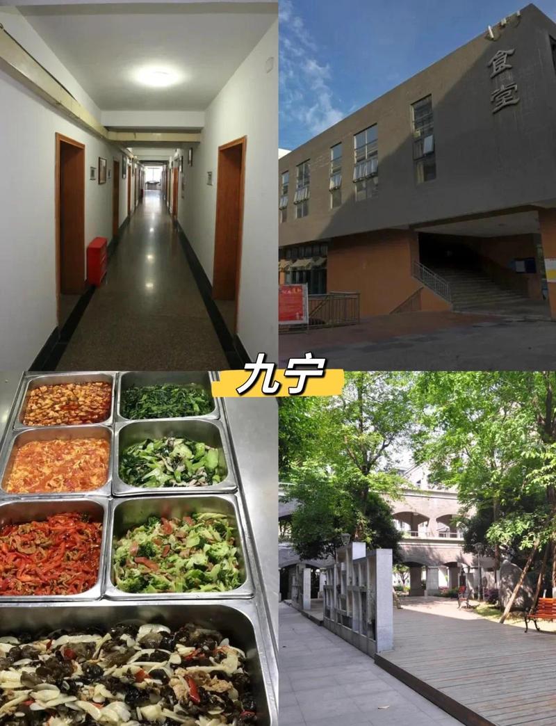 项目部食堂与宿舍的主要不同点是什么？