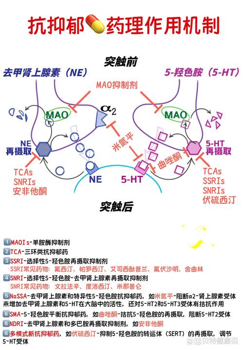NHibernate的Interceptor机制，真是让人惊喜不已的功能吗？