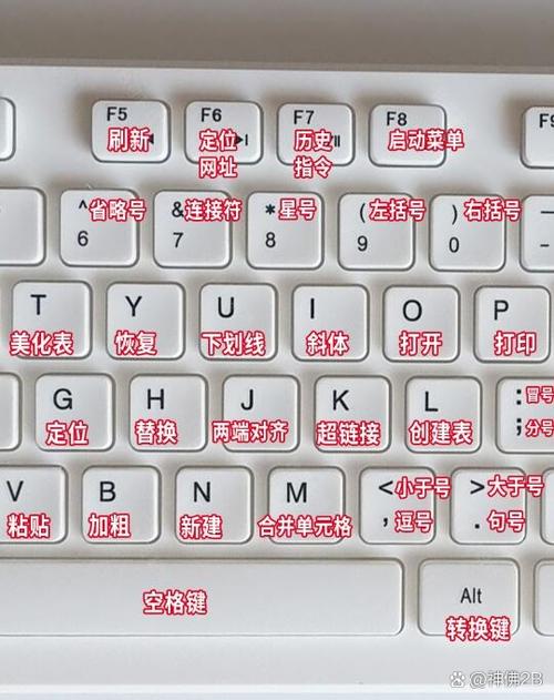 Word XP功能键使用大全里有哪些功能键？