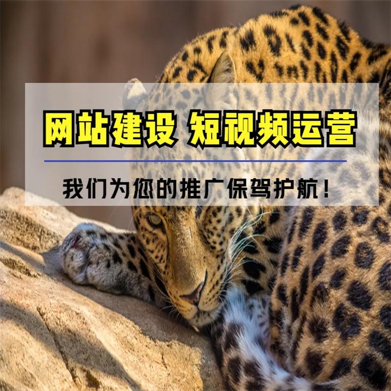 鹤壁网站建设哪家深度解析更专业，知名团队服务如何比拼，首选建设服务是哪家？