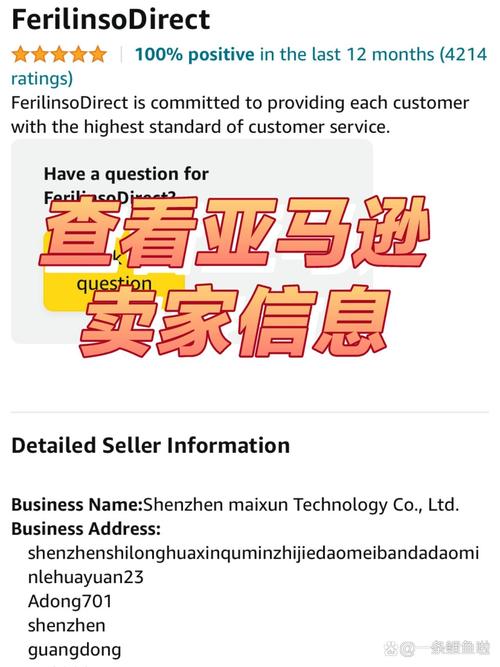 如何快速查询亚马逊账号信息？一查便知的秘籍是啥？