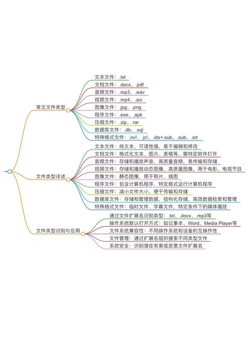 项目类型与文件类型有何根本差异？