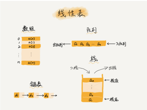 数据结构与算法中，数组与链表的区别和特点有哪些？