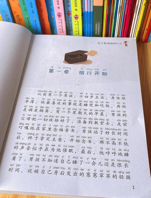 《C》这本书的作者有哪些主要观点？