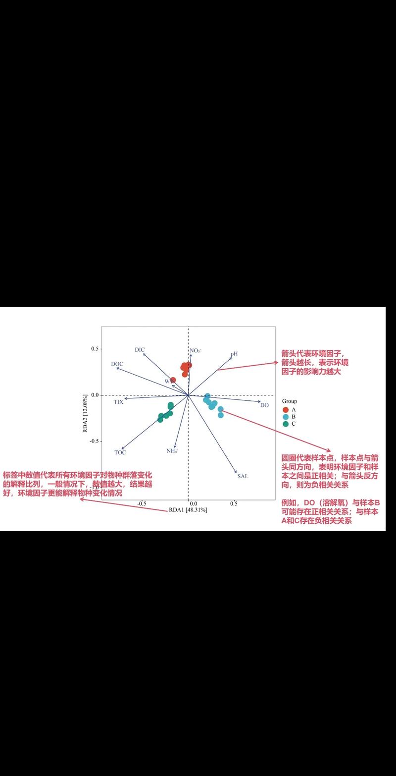 Lua函数设计时，是返回结果还是不返回，有何考量？