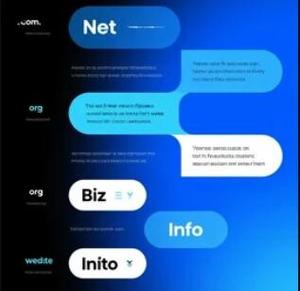 如何有效避免因新网过期域名抢注而造成的经济损失？